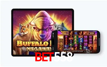Estatísticas do Jogo bet558